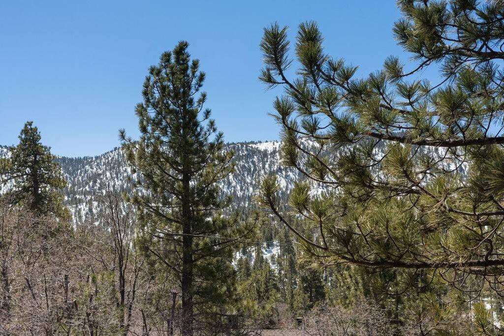 Koselig Cabin W Hot Tub, Fireplace & Central Ac Big Bear Lake Exterior foto